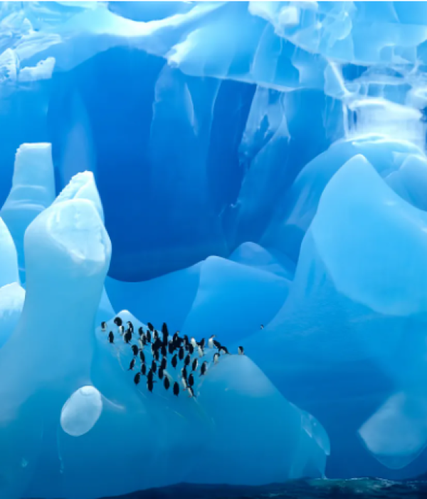 Screenshot 2025-07-18 150621